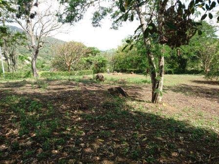 VENTA DE PARCELA EN LA VEGA REAL SAN GIL PC9319