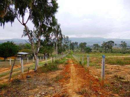 Lote en Ventas San Gil Vereda El Llano finca Caraquitas 898-10-07-2013 584