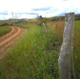 LOTE EN VENTA - VEREDA LA LAJA PC26693