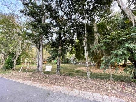 100 MTS DE LA VÍA NACIONAL PC426