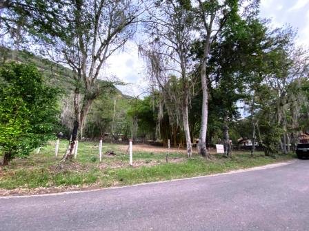 100 MTS DE LA VÍA NACIONAL PC426