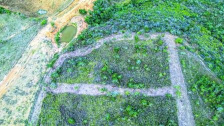 VENTA PARCELAS - VÍA BARICHARA PC33769