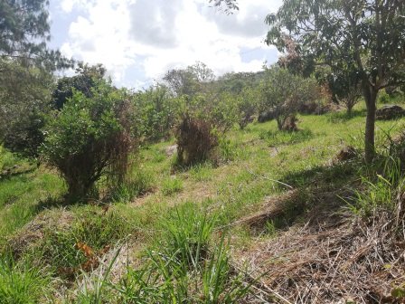 VENTA LOTE - SAN GIL PC27784