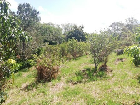 VENTA LOTE - SAN GIL PC27784