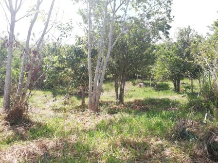 VENTA LOTE - SAN GIL PC27784