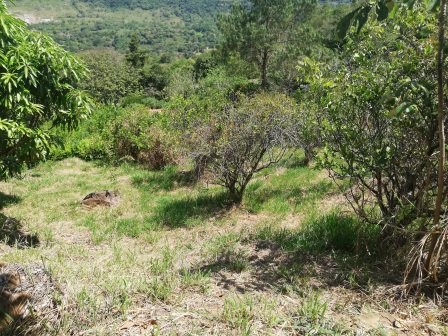 VENTA LOTE - SAN GIL PC27784