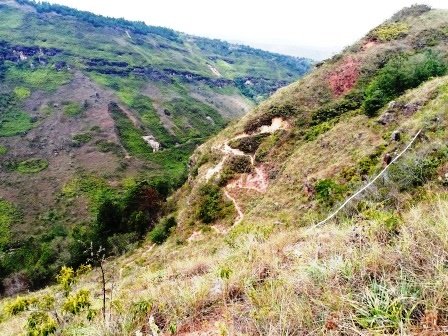 FINCA EN VENTA FORESTAL LINDANTE CON FUENTE HÍDRICA F5812