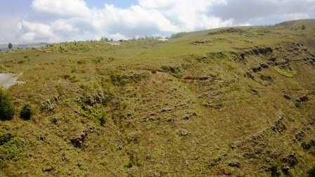 FINCA EN VENTA FORESTAL LINDANTE CON FUENTE HÍDRICA F5812