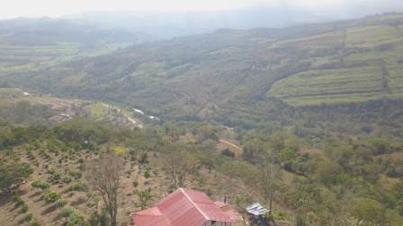 PARCELA DE 3 HA CON FRUTALES PC50825