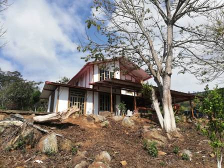 PARCELA DE 3 HA CON FRUTALES PC50825