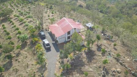 PARCELA DE 3 HA CON FRUTALES PC50825