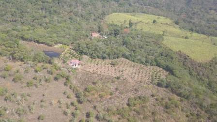 PARCELA DE 3 HA CON FRUTALES PC50825