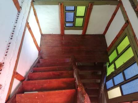 PARCELA DE 3 HA CON FRUTALES PC50825