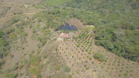 PARCELA DE 3 HA CON FRUTALES PC50825