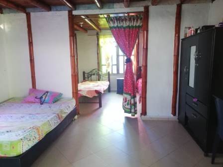 PARCELA DE 3 HA CON FRUTALES PC50825