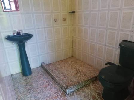 PARCELA DE 3 HA CON FRUTALES PC50825