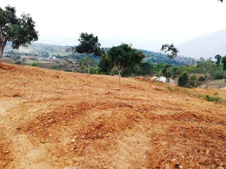 PARCELAS CON SERVICIOS  PC43856