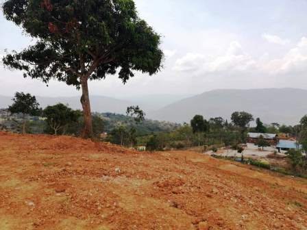 PARCELAS CON SERVICIOS  PC43856