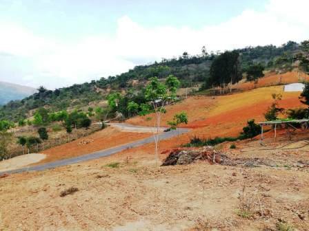 PARCELAS CON SERVICIOS  PC43856