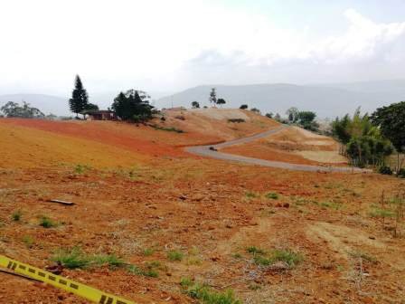 PARCELAS CON SERVICIOS  PC43856