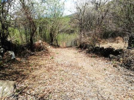 4 HA SUB-URBANAS PC20859