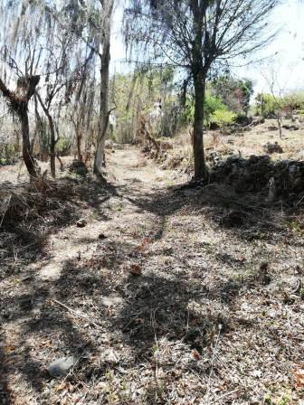 4 HA SUB-URBANAS PC20859