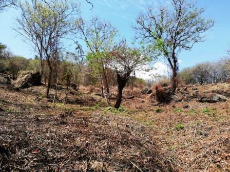 4 HA SUB-URBANAS PC20859