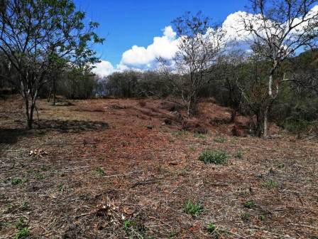 4 HA SUB-URBANAS PC20859