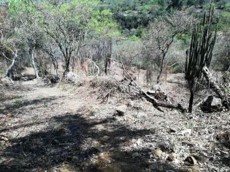 4 HA SUB-URBANAS PC20859