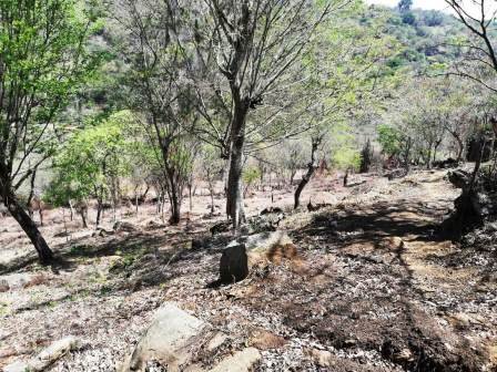 4 HA SUB-URBANAS PC20859