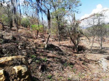 4 HA SUB-URBANAS PC20859