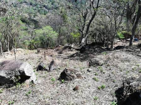 4 HA SUB-URBANAS PC20859