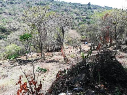 4 HA SUB-URBANAS PC20859