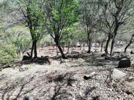 4 HA SUB-URBANAS PC20859