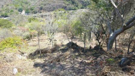 4 HA SUB-URBANAS PC20859