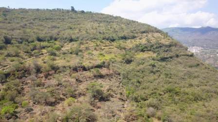 4 HA SUB-URBANAS PC20859