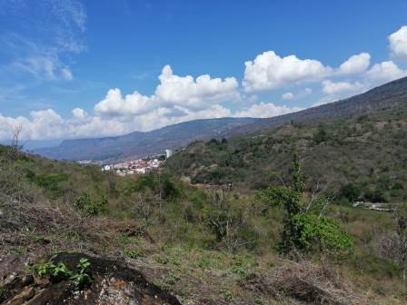 4 HA SUB-URBANAS PC20859