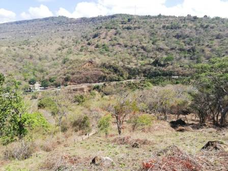 4 HA SUB-URBANAS PC20859