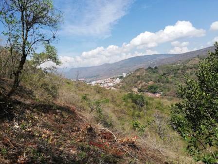 4 HA SUB-URBANAS PC20859