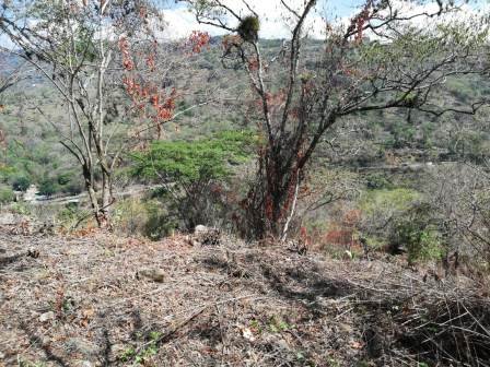 4 HA SUB-URBANAS PC20859