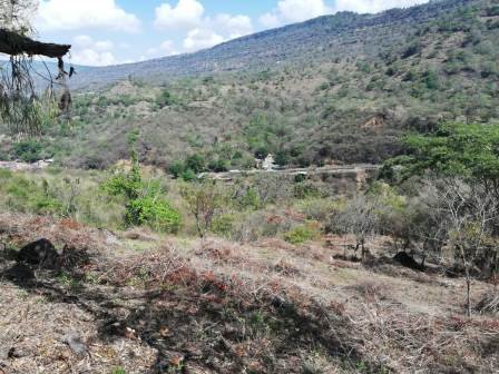 4 HA SUB-URBANAS PC20859