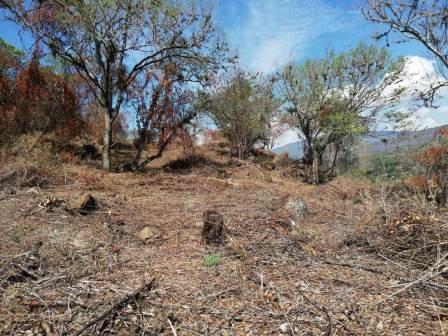 4 HA SUB-URBANAS PC20859