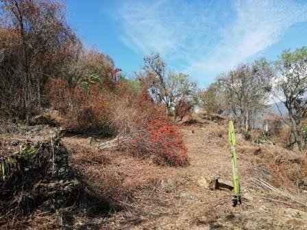 4 HA SUB-URBANAS PC20859