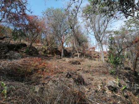 4 HA SUB-URBANAS PC20859