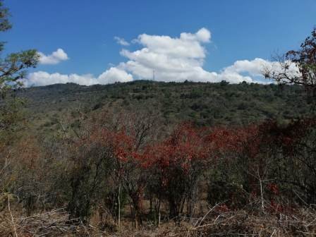 4 HA SUB-URBANAS PC20859