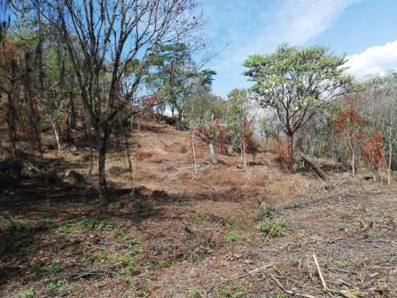 4 HA SUB-URBANAS PC20859