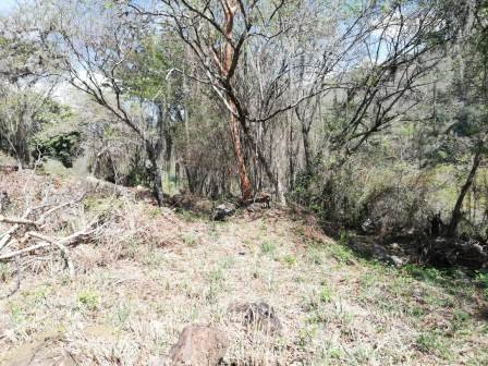 4 HA SUB-URBANAS PC20859