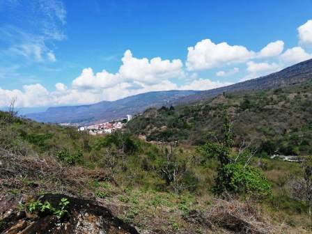 4 HA SUB-URBANAS PC20859