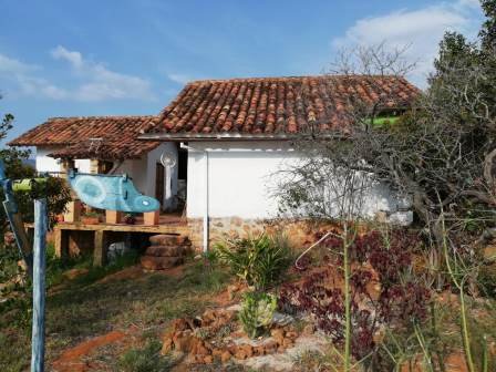 VENTA PARCELA - VEREDA SAN JOSE BAJO PC18863