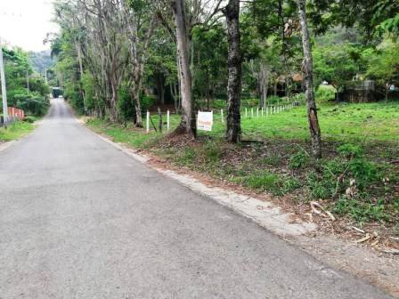 VENTA LOTE - PINCHOTE PP45864